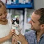 The Ultimate Checklist for Adopting a Rescue Cat