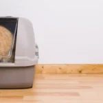 How Do Automatic Litter Boxes Work, and Are They Worth the Investment?