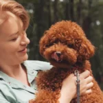 How to Manage Stress and Ensure Happiness for Your Small Animal