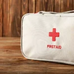 Which First Aid Supplies Are Essential for Horses?