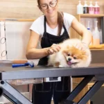 Safe and Effective Grooming Techniques for Exotic Pets