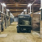 How Do You Properly Store Horse Feed to Keep It Fresh?