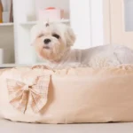 A Guide to Selecting the Right Bedding for Small Animals
