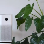Enhancing Your Home With Smart Air Purifiers