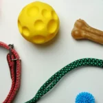 Must-Have Travel Accessories for Dogs