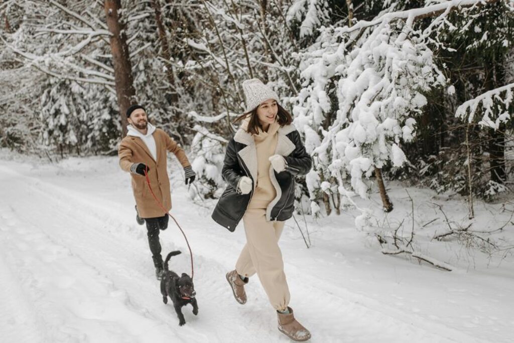 choosing a winter dog coat