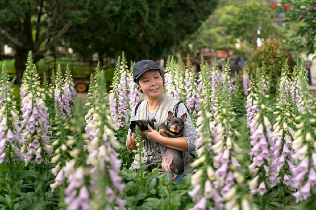 creating ideal environment conditions