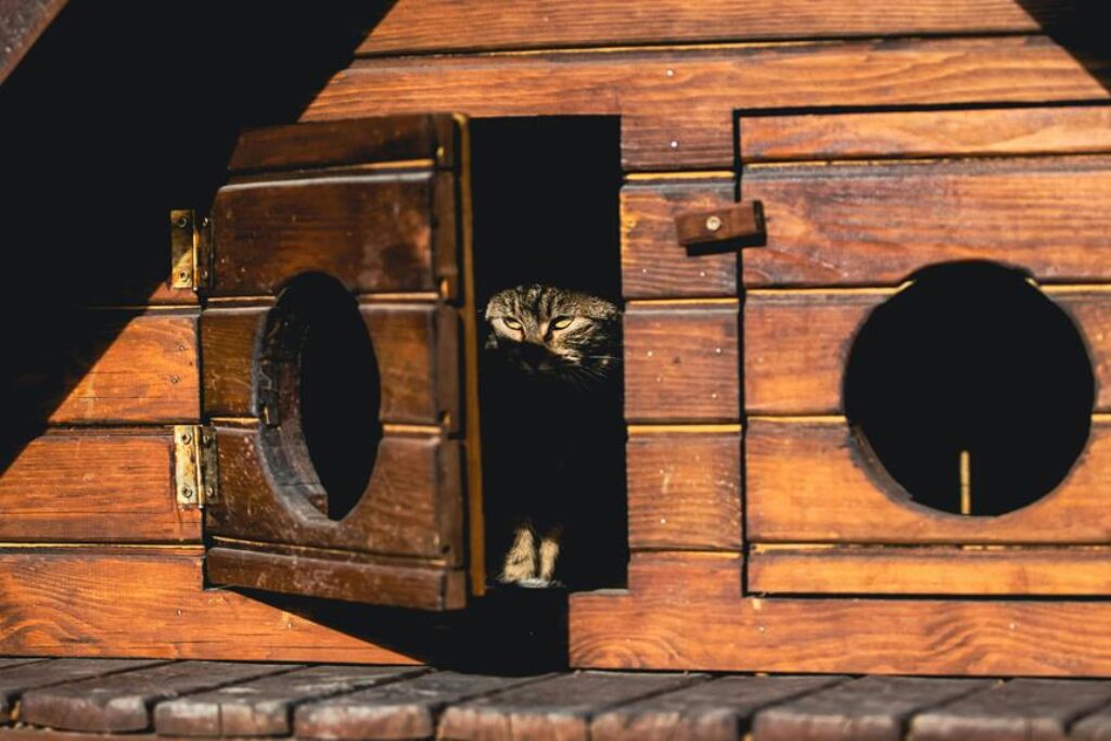 exotic pet habitat design