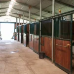 How Do You Create a Safe and Comfortable Stall Environment?