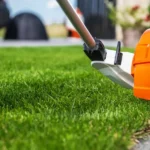 Achieving a Weed-Free Lawn Without Chemicals