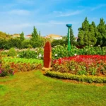 What Are the Best Flowers for Sunny Outdoor Gardens?