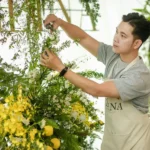 What Are the Best Plants for a Low-Maintenance Garden?