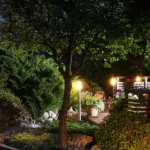 What Are the Best Ways to Illuminate Your Garden?
