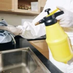 What Are the Most Common Kitchen Hazards to Avoid?
