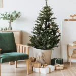 How Can You Decorate Your Home for Each Season Without Breaking the Bank?