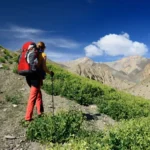 What Are the Best Tips for Staying Energized During Long Hiking Expeditions?