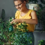 The Ultimate Guide to Houseplant Care