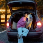 How Can You Keep Your Pet Comfortable During Outdoor Travel?