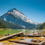 What Are the Most Popular Camping Destinations in National Forests?