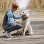How Do You Choose the Right Outdoor Gear for Your Pet?