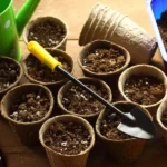 How to Choose the Right Soil for My Plants?