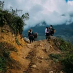 What Are the Best Scenic Hiking Trails Perfect for Beginners?