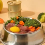What Are the Best Smart Gadgets for Managing Your Pet’s Diet?