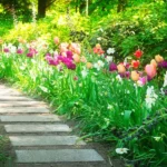 What Are the Best Plants for Spring Gardening?