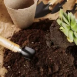 The Best Tools Every Plant Parent Needs