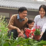 What Are the Best Tips for Designing a Family-Friendly Garden?