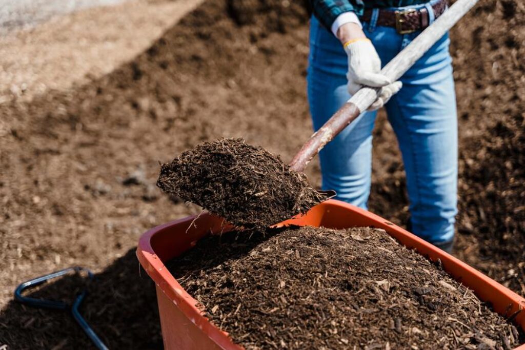 composting for sustainable gardening