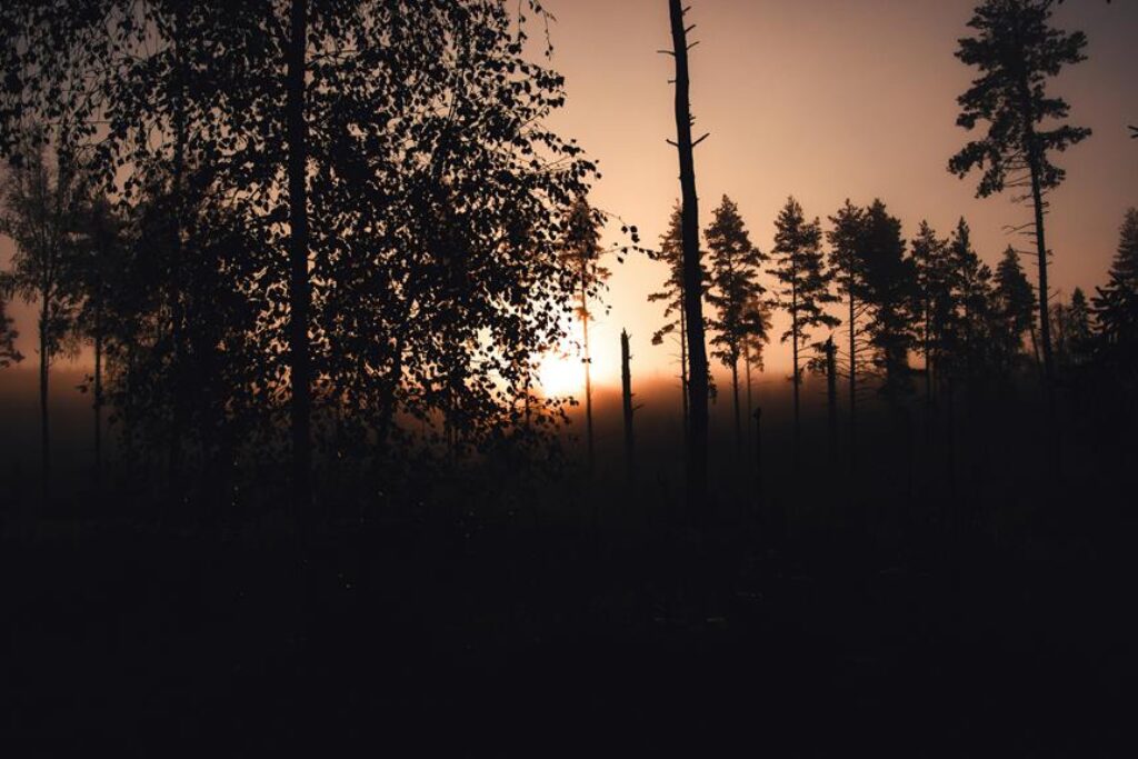 eco friendly camping practices