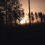 eco friendly camping practices