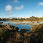 eco friendly camping tips