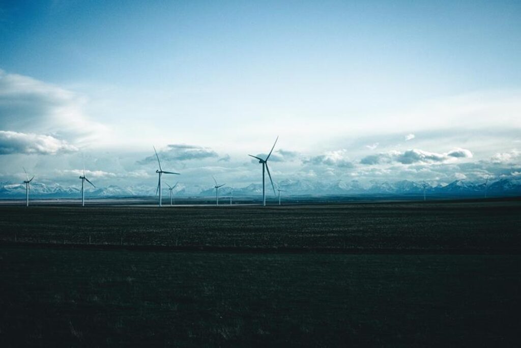 eco friendly camping tips