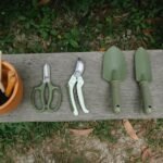 essential tools for gardening