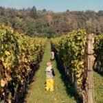 family friendly hikes for kids