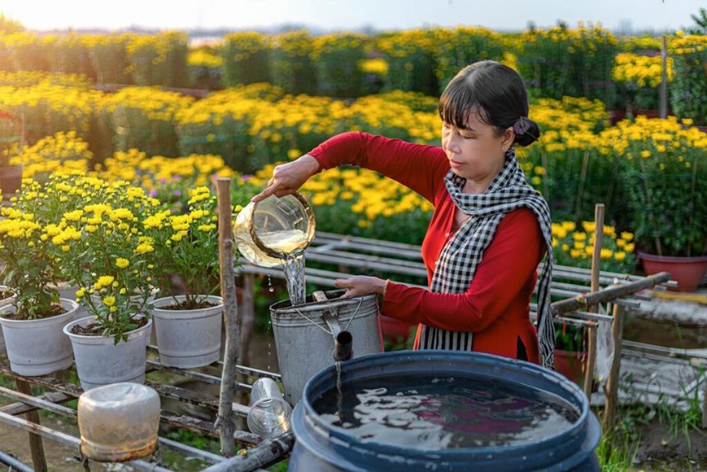 growing plants naturally popular