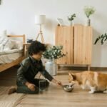 importance of hydration for pets