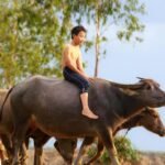 introducing kids to wildlife