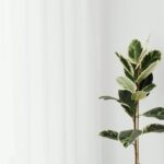 minimalist wall decor ideas