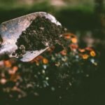 organic fertilizers explained thoroughly