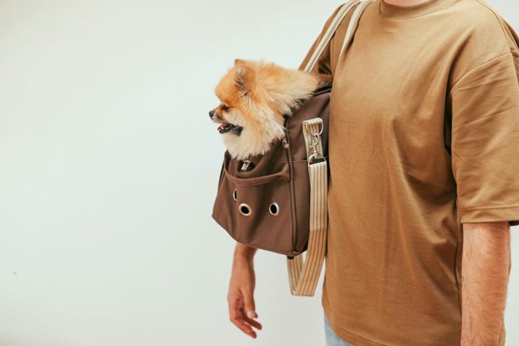 outdoor gear for pet owners