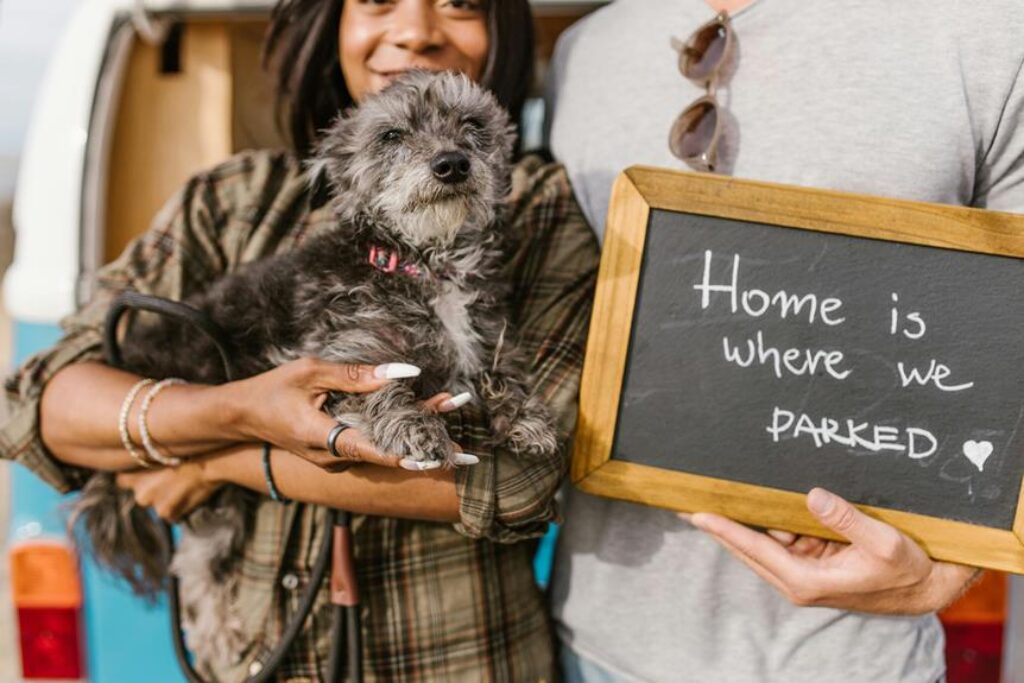 pet friendly camping recommendations