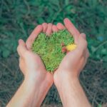 repotting plants for growth