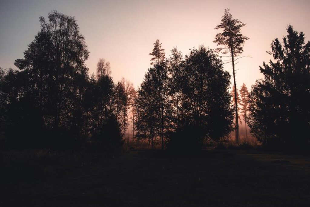 selecting camping spots wisely