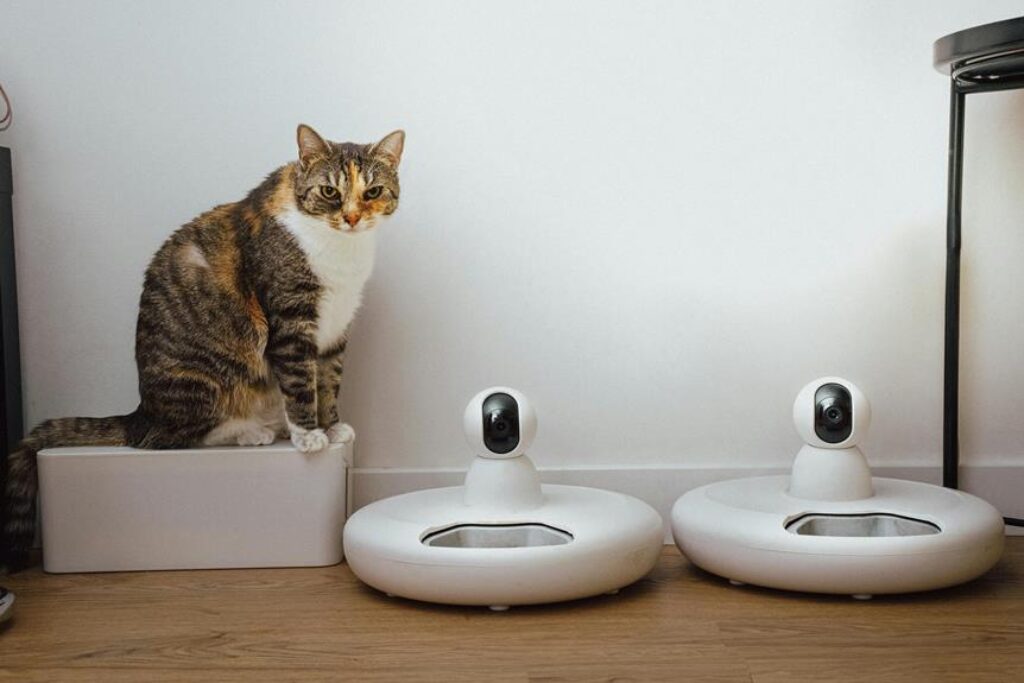 smart pet camera benefits