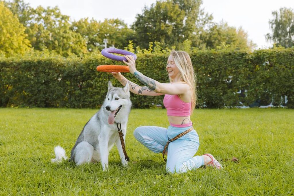 smart pet toys for entertainment