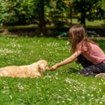 supporting pets through transitions