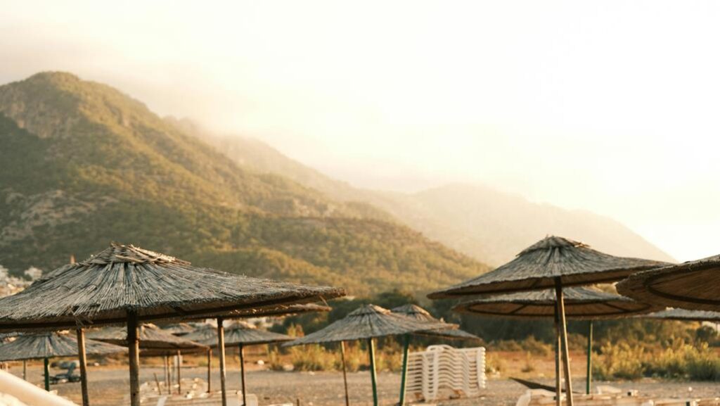 survival in a desert